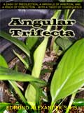 Angular Trifecta (2013) [Novel]