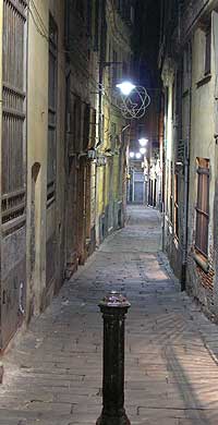 vicola genova Latin Dreams