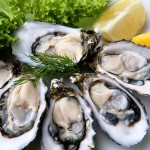 oysters oysters