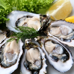 oysters The Foods of Love