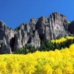 Uncompahgre_Peak_with_Surrounding_Aspen,_Colorado