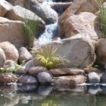 Basin