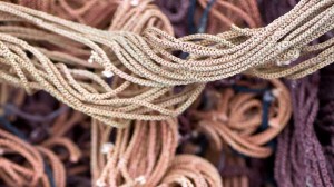 ropes 300x168 Untitled, Unknown Photo ropes 300x168 Untitled, Unknown