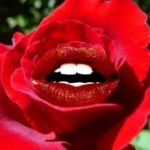Lips-Rose