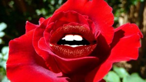 Lips Rose 300x168 To Love Without Borders