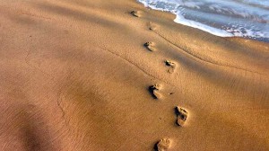 footprints in sand 300x168 Charlottes Walk Photo footprints in sand 300x168 Charlottes Walk