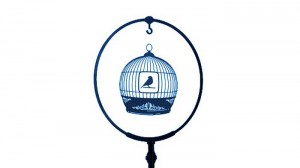 birdcage 300x168 A Revolving Cage?