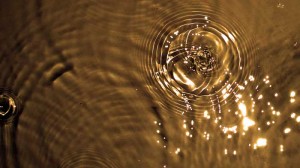 raindrops 300x168 The Force Of Life Photo raindrops 300x168 The Force Of Life