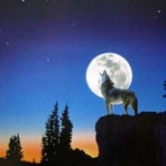 wolf howling at moon