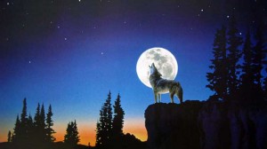 wolfhowlingatmoon 300x168 Rowinas Lover
