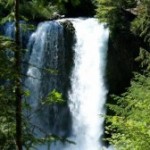 mckenzie-river