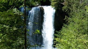mckenzie river 300x168 Travels on the McKenzie River