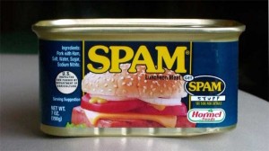 Dirty Rotten Spammers!
