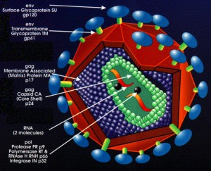 hiv 300x243 Less Fear of HIV