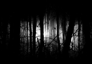 dark woods 300x210 Ghost Story (The Wailing Wood 2)