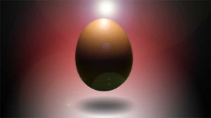 egg 300x168 So How Did It All Start?