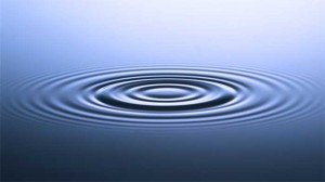 concentric circles 300x168 Blogs and Connections