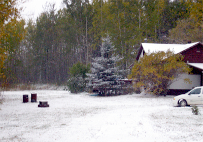 A day in October The Unsolvable Mystery