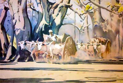dusty road Lines In Dust