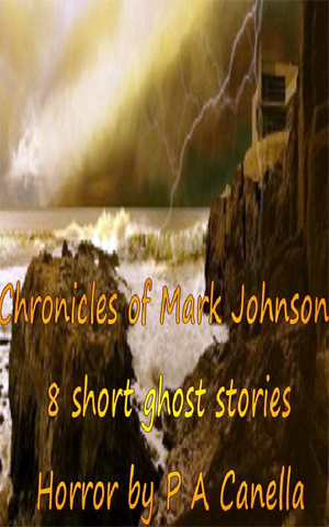 Chronicles of Mark Johnson Review: Chronicles of Mark Johnson