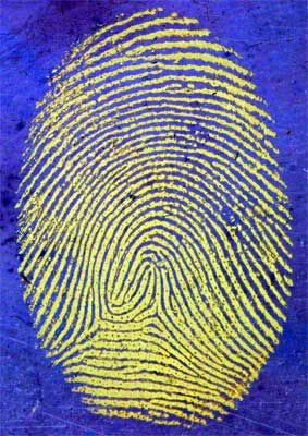 Fingerprints fingerprint Fingerprints