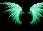 Dizzy Wings