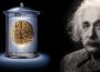 Einstein's Brain