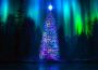 Christmas Traditions