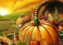 Reflections On Thanksgiving