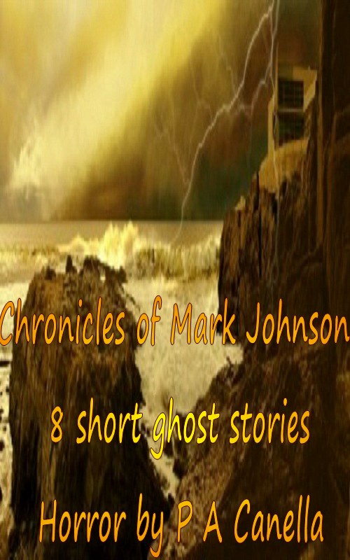 Chronicles of Mark Johnson