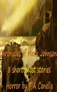 A Year in the Life of an Author - Chronicles of Mark Johnson
