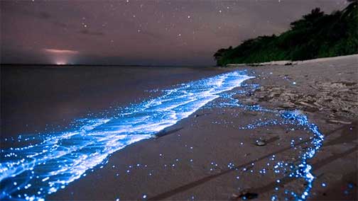 glowing-blue-waves