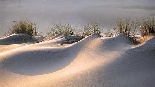 Drifts of Sand