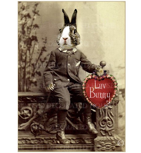 Valentine Rabbit