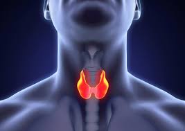 thyroid cancer 02